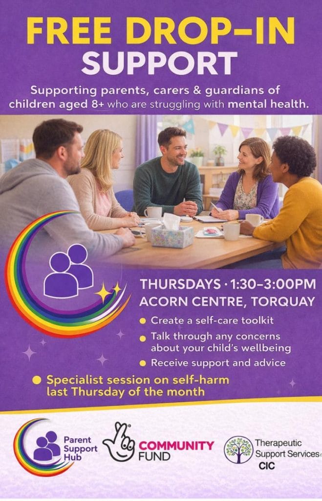 Imagine This Torbay - PSH Drop in service