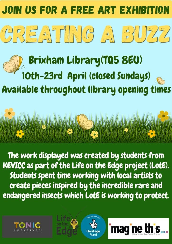 Imagine This Torbay - lote brixham