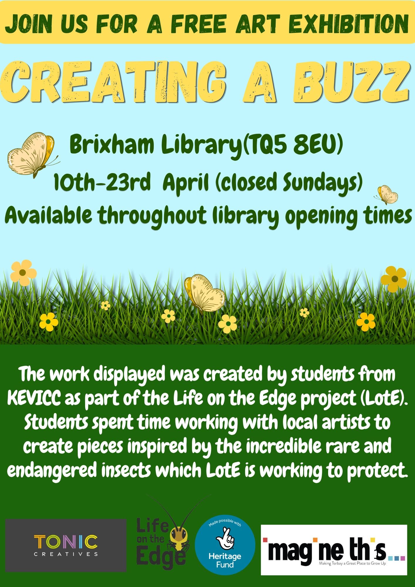 Imagine This Torbay - lote