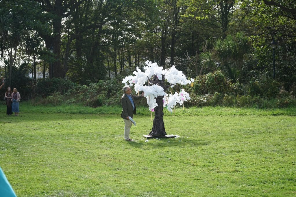 Imagine This Torbay - PBY Nicky Bye tree