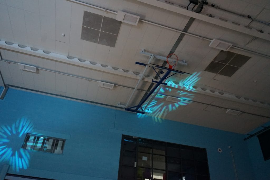 Imagine This Torbay - PBY movers on ceiling