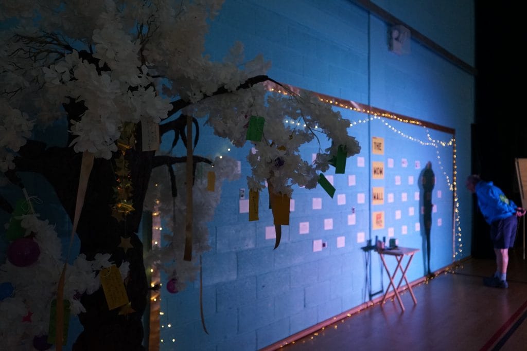Imagine This Torbay - PBY tree with wall 2